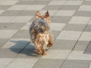 d0017632_1965039.jpg