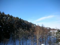 b0042334_17524674.jpg