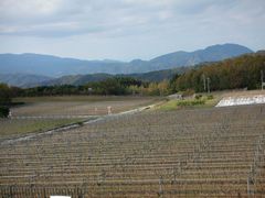 b0042334_21293385.jpg