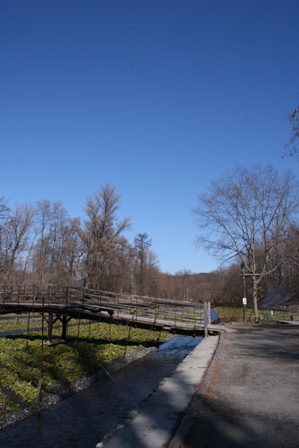 f0131939_1452885.jpg