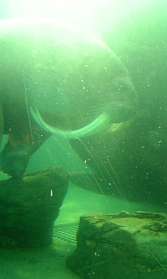 a0097446_16225785.jpg