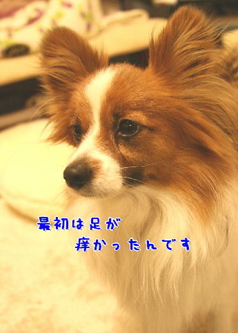 d0013149_0332179.jpg