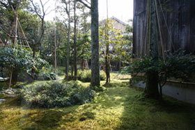 b0089853_1411511.jpg
