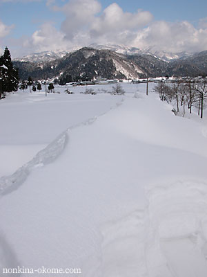 c0145453_20545661.jpg