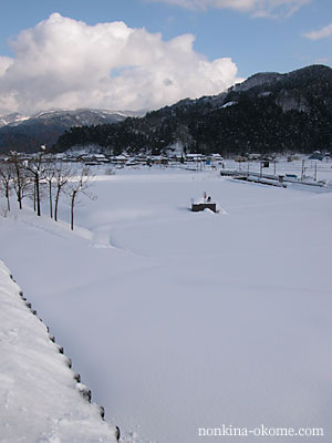 c0145453_210385.jpg