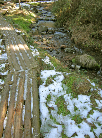 a0001354_1974993.jpg