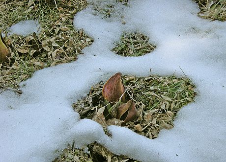 a0001354_198476.jpg