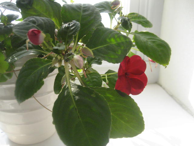 a0075455_93501.jpg