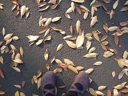c0047860_071477.jpg