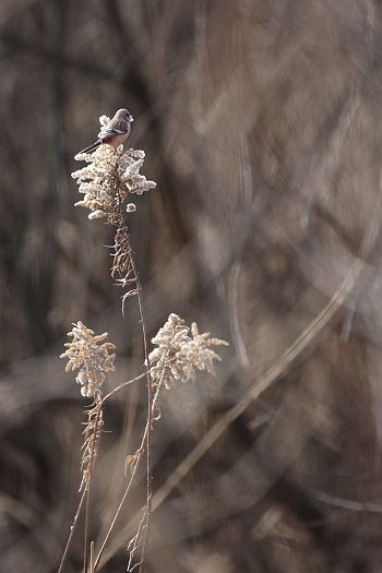 f0103860_1434018.jpg