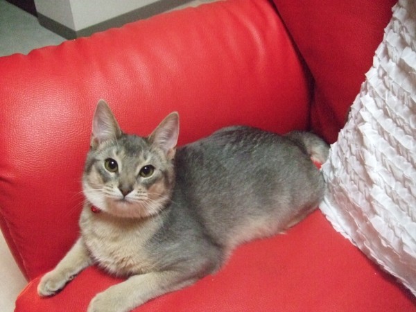 c0139765_11759100.jpg