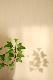 b0041767_639342.jpg