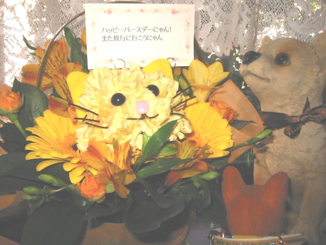 e0031572_1162737.jpg