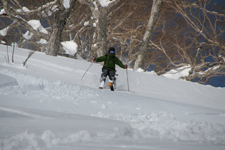 d0079579_15401100.jpg