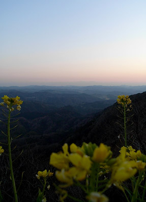 c0096393_23415482.jpg
