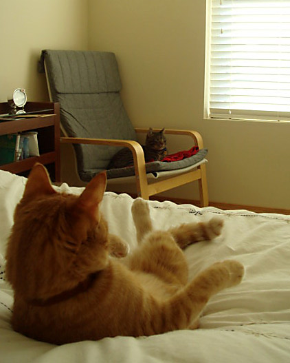 c0103793_743841.jpg