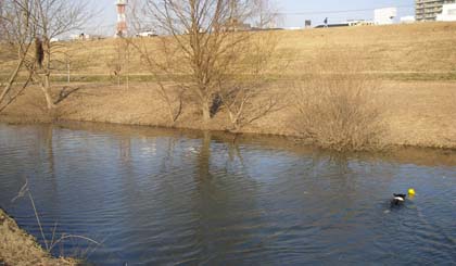 f0114893_2257271.jpg