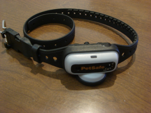d0095997_2338032.jpg