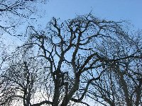 e0122199_22511845.jpg