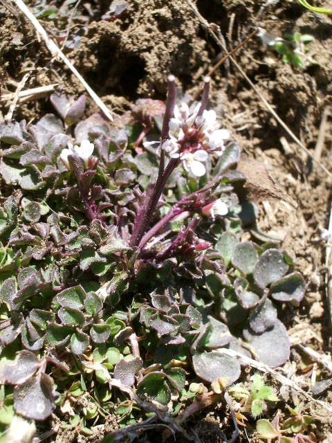 e0025300_15524736.jpg