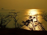 d0137903_2342879.jpg