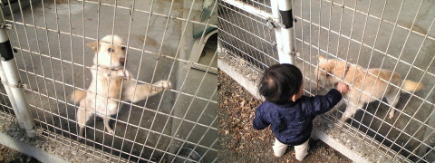 c0003217_16341719.jpg
