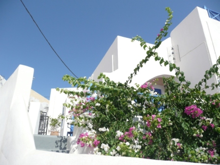 e0038719_2245163.jpg