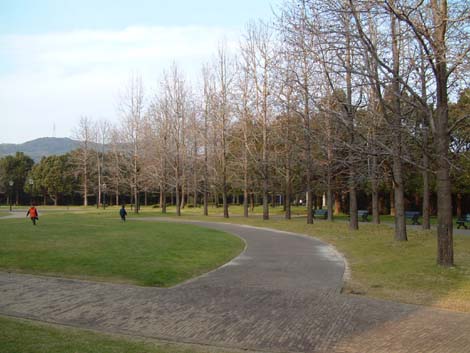 c0059521_20454121.jpg
