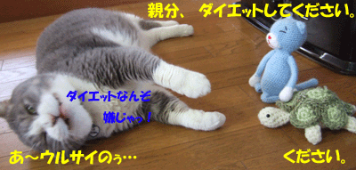 f0008935_10341964.gif