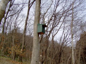 e0049740_2028858.jpg