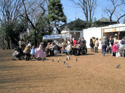焼きそば、焼き鳥、甘酒などなど有ったよ~♪"