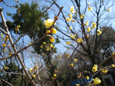 c0033145_173092.jpg