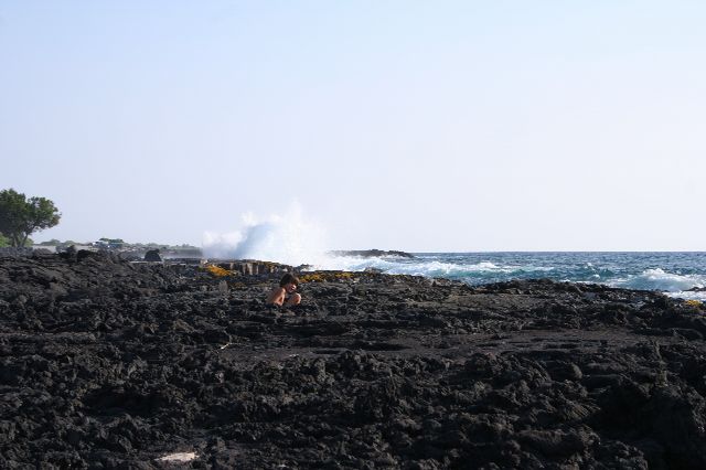 e0129046_13204851.jpg