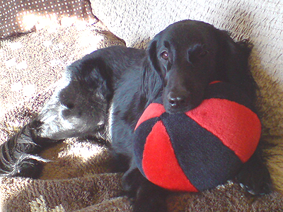 f0095047_9215848.jpg