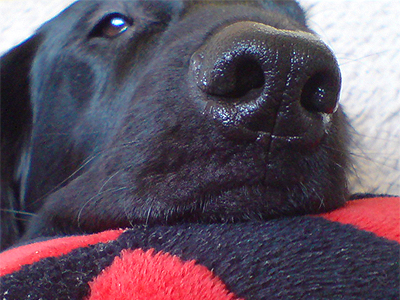 f0095047_926186.jpg