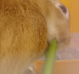 c0145449_220475.jpg
