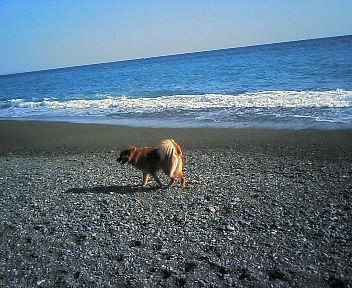f0034156_94167.jpg