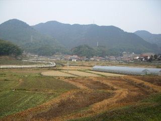 f0043559_22474098.jpg