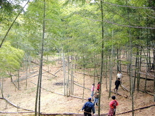 f0043559_2248562.jpg