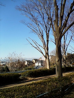 f0020662_728321.jpg