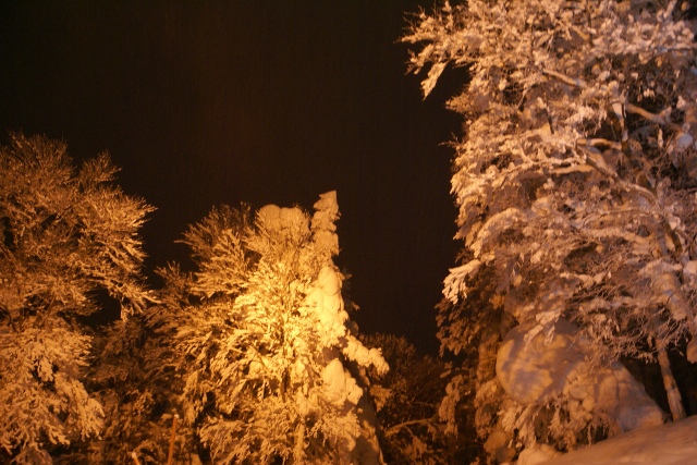 a0091666_21193523.jpg