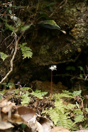 e0054067_23202246.jpg