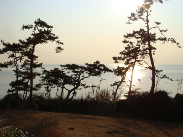 e0006772_21491447.jpg