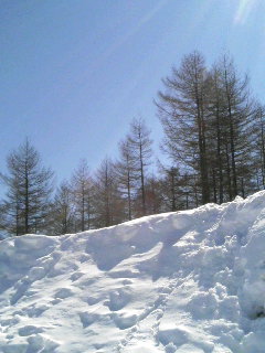 c0150879_21215133.jpg