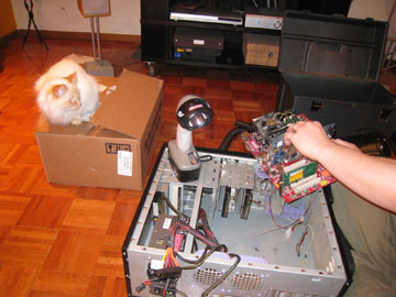 f0068883_15511054.jpg