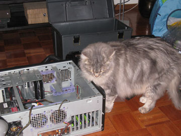 f0068883_15532720.jpg