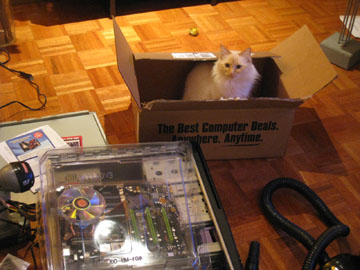 f0068883_15555763.jpg