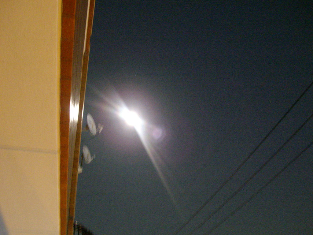 b0119688_9491279.jpg