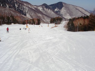 d0136689_14501340.jpg