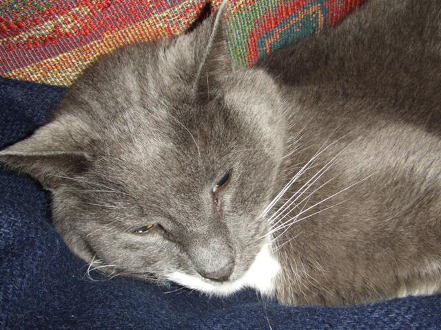 c0062603_6165730.jpg